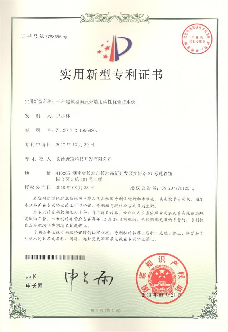 1.12-ZL201721896920.1-一(yī)種建築樓面及外(wài)牆用(yòng)柔性防水(shuǐ)闆(1)
